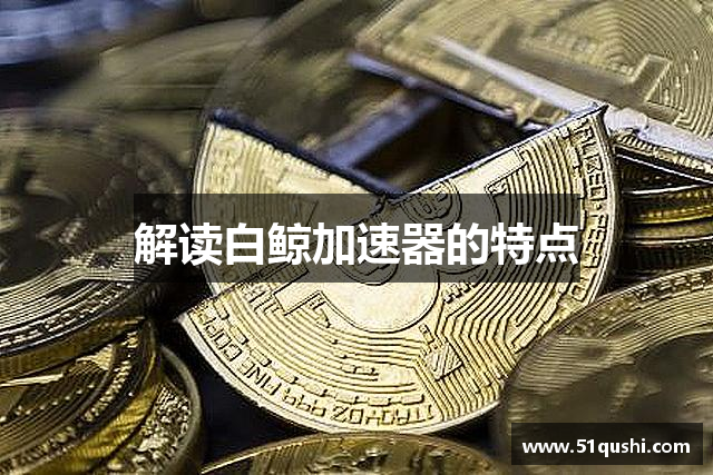 解读白鲸加速器的特点